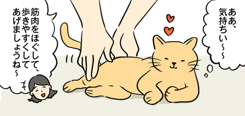 4コマ漫画の2コマ目:獣医師が猫の筋肉をほぐし、猫は気持ちよさそうにリラックスしている。